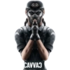 R6 Rainbow Six Siege memes  25