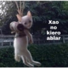 @midis para
SEE
Xao
no
kiero
ablar
223888366