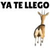 Jajaja XD  8