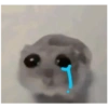 Hamster triste 8