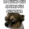 🐕🐶Perrito sin palabras 😬🙁 12