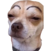 Mascotas Rammdom 10