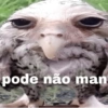 Sarcasmo atualizado 6