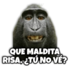 QUE MALDITA RISA, ¿TÚ NO VÉ?