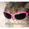 Quiere que le baile 7