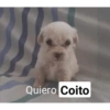 Shitpost Pa Tener Parte 1 13