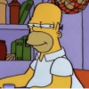 Homero Simpson 💛 16