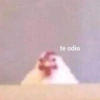 te odio
