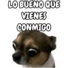 🐕🐶Perrito sin palabras 😬🙁 8
