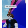 Roblox 17