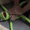 Sapo dos memes🐸 9