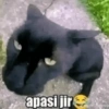apasi jir ustal daisalju