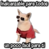☄️Aesthetic Stickers☄️ #1 5