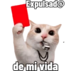 Expulsad@ de mi vida