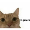 te quiero