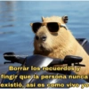Memes Respuestas 4 9