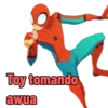 Spiderman 28