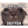 NO JOKES TODAY, ONLY PAIN