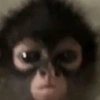 🧿🧿🧿 9