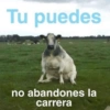 Animalitos Random🪴🐾 7