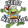 Señor frogs navidad  16