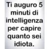 Ti auguro 5 minuti di intelligenza per capire quanto sei idiota.