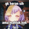 Meme genshin impact  14