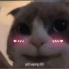 Smile cat ~ 17