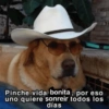 Pinche vida bonita, por eso uno quiere sonreir todos los días