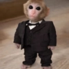 Macaquinhos 12