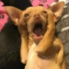 分