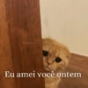 Melhores figurinhas  15