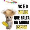 Memes de São João 🧨🔥🎇 15