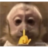 🧿🧿🧿 26