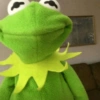 Sapo dos memes🐸 7