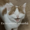 Melhores figurinhas  14