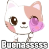 Gatitos cute💖 11