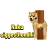 Naku siggesthondhi
