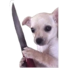 Anomali Lucu 13