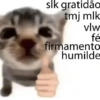 slk gratidão tmj mlk vlw fé firmamento humilde