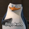 Bojo kulo