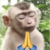 🧿🧿🧿 27