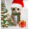 Memes Navideños V1 18