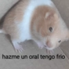 Memes con texto 6 🏝️👀 8