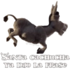 @YoSogToba
SANTA CACHUCHA
Ya Dijo La Frase
