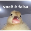 você é falsa