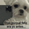 🙉Frases variadas🙉 5