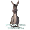 Buenos Dias
PRINCesa!