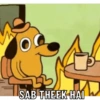 A SAB THEEK HAI
