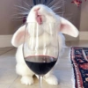 Coelho Fofo Reações 🐰 8